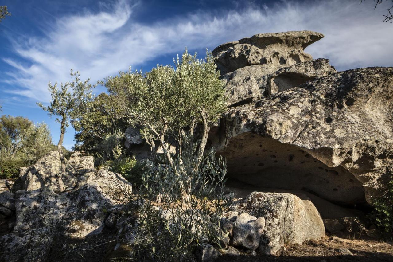 Gallicantu Stazzo Retreat Луогозанто Экстерьер фото