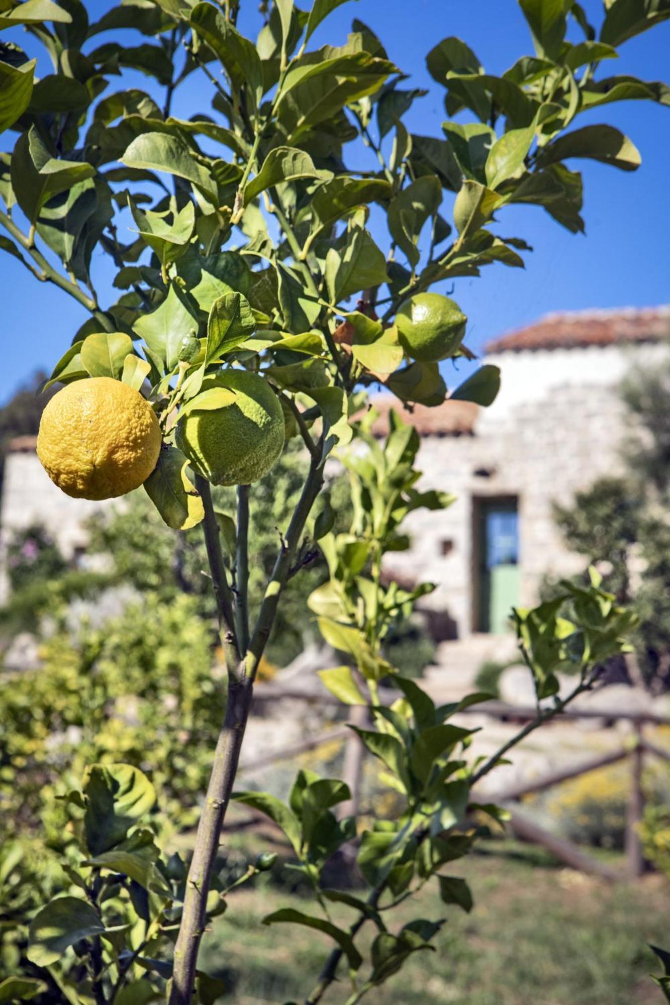 Gallicantu Stazzo Retreat Луогозанто Экстерьер фото